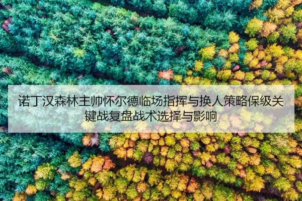 nuo-ding-han-sen-lin-zhu-shuai-huai-er-de-lin-chang-zhi-hui-yu-huan-ren-ce-lve-bao-ji-guan-jian-zhan-fu-pan-zhan-shu-2-244.jpg